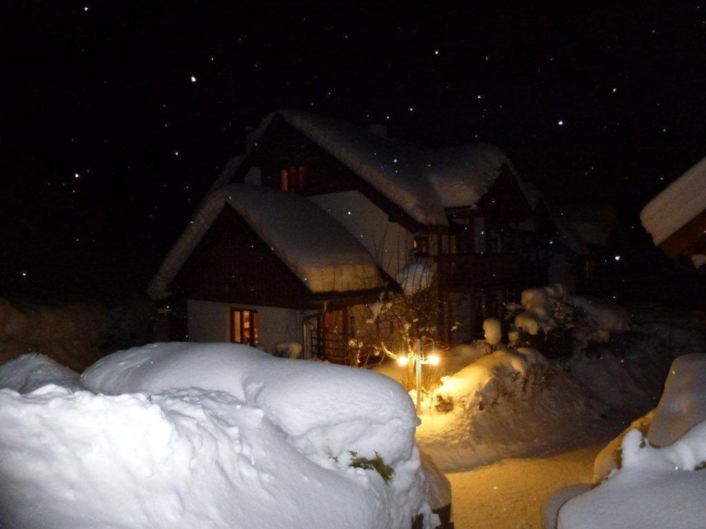 Ferienhaus Waldsicht Flachau Exterior photo