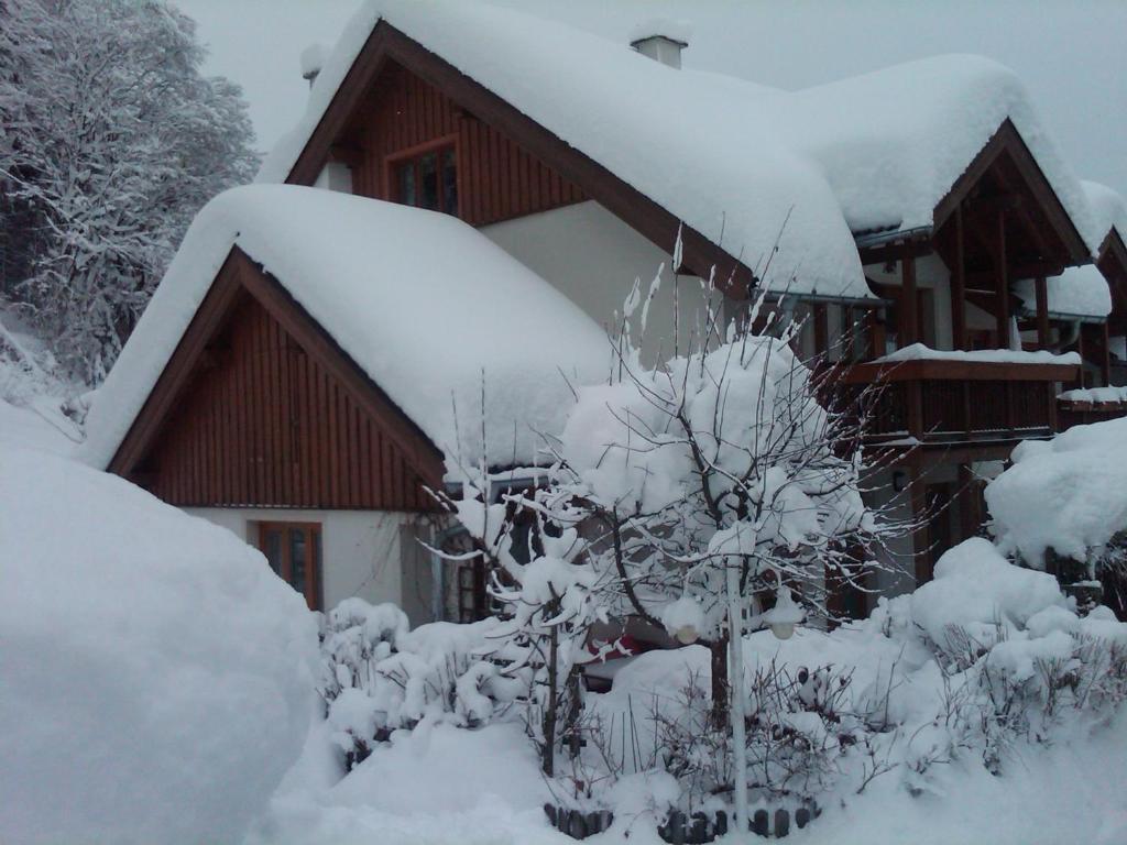 Ferienhaus Waldsicht Flachau Exterior photo